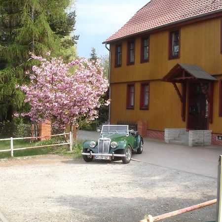 Harzer Ferienpension Timmenrode Экстерьер фото