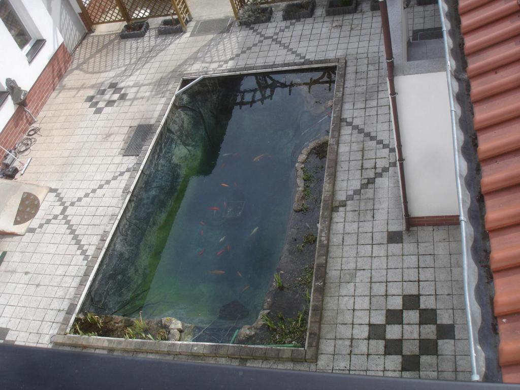 Harzer Ferienpension Timmenrode Экстерьер фото